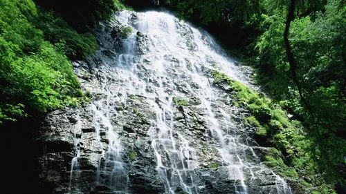 信息化节能绿色